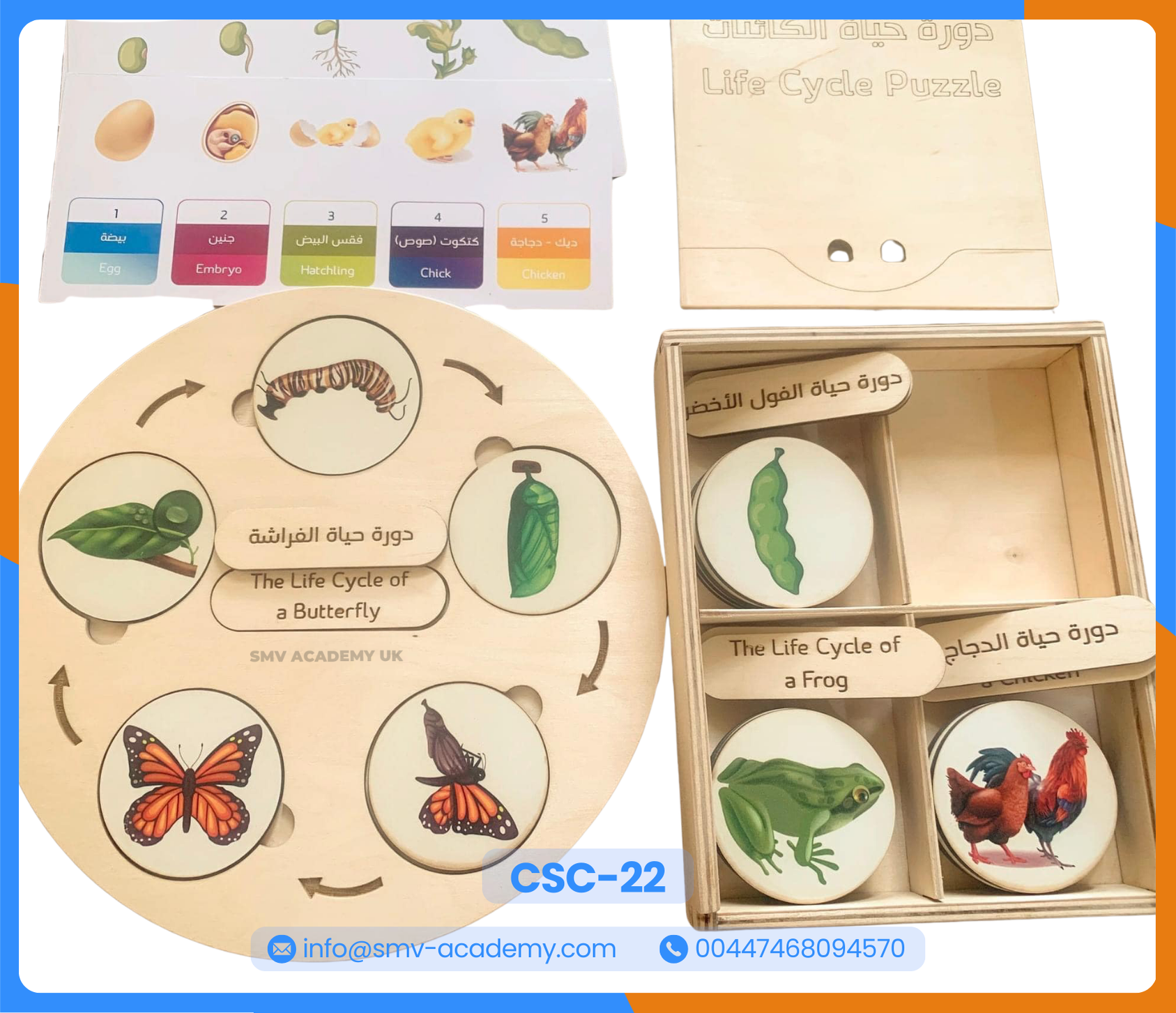 دورة حياة الكائنات 4 – 4 Life Cycle puzzle